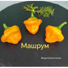 Машрум