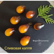 Сливовая Капля