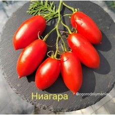 Ниагара