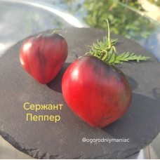 Сержант Пеппер