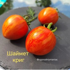 Шаймет Криг