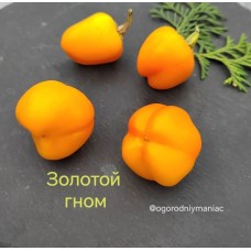 Золотой Гном