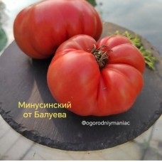 Минусинский от Балуева