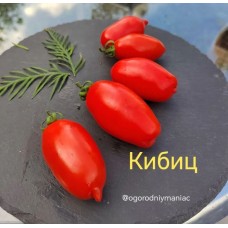 Кибиц
