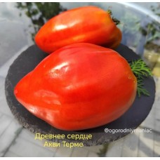 Древнее Сердце Акви Терме