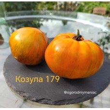 Козула 179