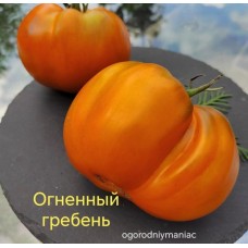 Огненный Гребень