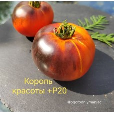 Король Красоты + Р20