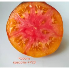Король Красоты + Р20
