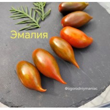 Эмалия