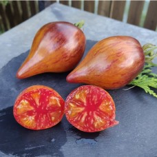 Сладкая Карамель Софи