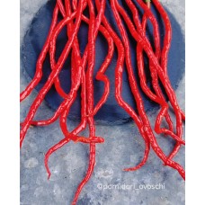 Острый Перец Гром Горы Лонгхорн