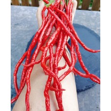 Острый Перец Гром Горы Лонгхорн