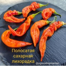 Полосатая Сахарная Лихорадка
