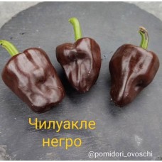 Чилуакле Негро