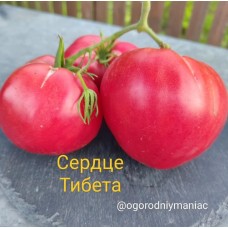 Сердце Тибета