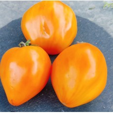 Сердце Ашхабада