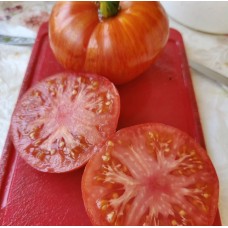 Мерк Роккей