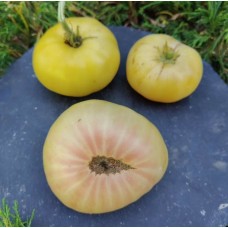 Даггин Белый