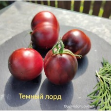 Темный Лорд