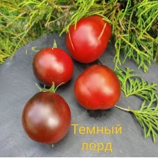 Темный Лорд