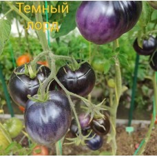 Темный Лорд