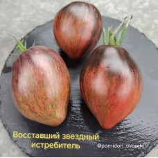 Восставший Звездный Истребитель