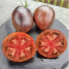 Восставший Звездный Истребитель