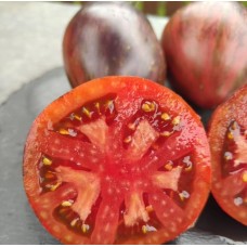 Восставший Звездный Истребитель