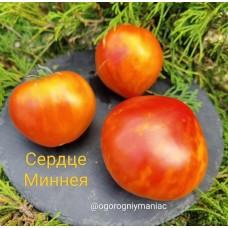 Сердце Миннея