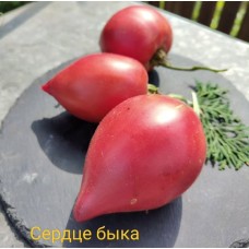 Сердце Быка