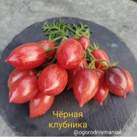 Черная Клубника