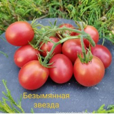 Безымянная Звезда