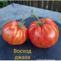Восход Джаза