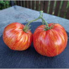 Восход Джаза