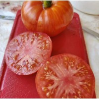 Восход Джаза