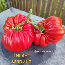 Гигант Фарина