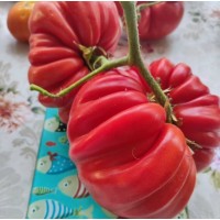 Гигант Фарина