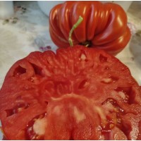 Гигант Фарина