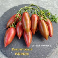 Фиолетовый Изумруд