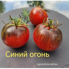 Синий Огонь