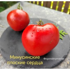Минусинские Плоские Сердца