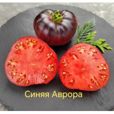 Синяя Аврора