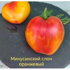 Минусинский Слон Оранжевый