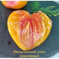Минусинский Слон Оранжевый