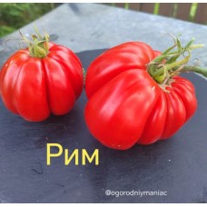 Рим