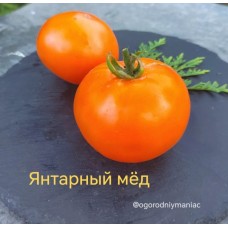 Янтарный Мед