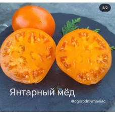 Янтарный Мед