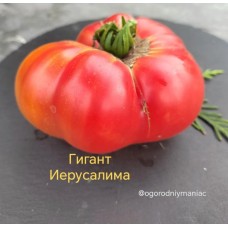 Гигант Иерусалима