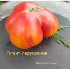 Гигант Иерусалима